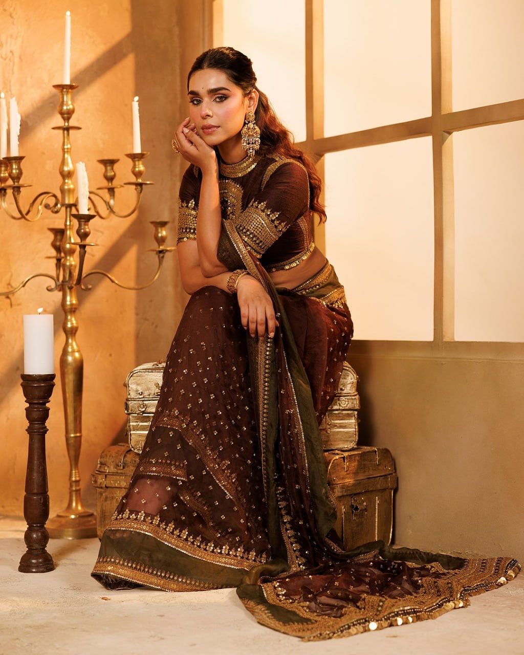 Rich Chocolate Brown Designer Saree with Intricate Thread Work