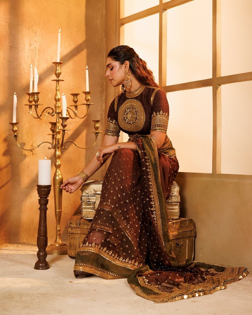 Rich Chocolate Brown Designer Saree with Intricate Thread Work