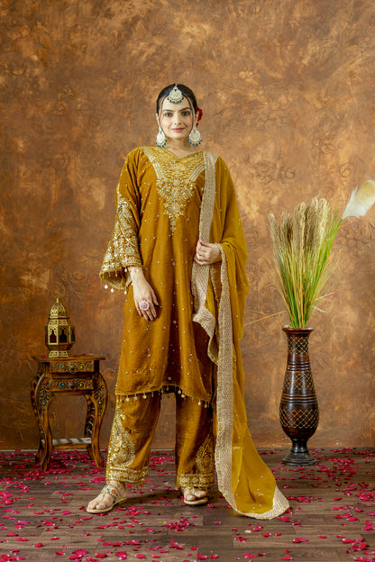 Pure Viscose Velvet Party Wear Suit for Women - Top Plazzo Set